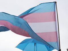 ONG brasileira LGBTQIA+ cria IA anti-ódio e processa redes sociais em R$ 100 milhões